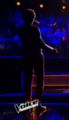 sol,voice,mika,zazie,garou,florent pagny,crazy